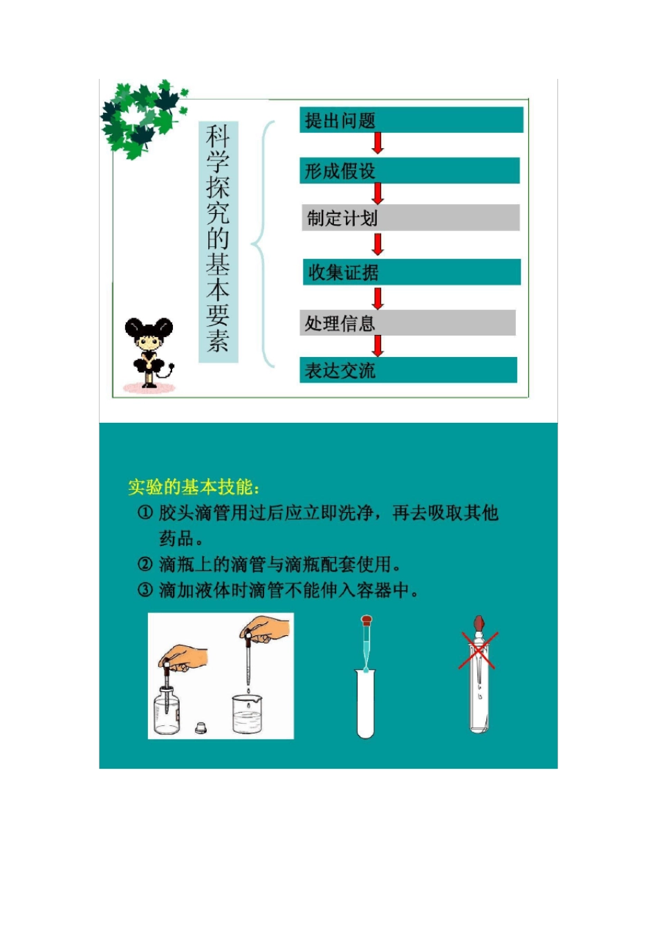 上海科学会考(科学学业水平考试)总复习资料【全】 _第2页