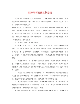 2020年村支部工作总结 