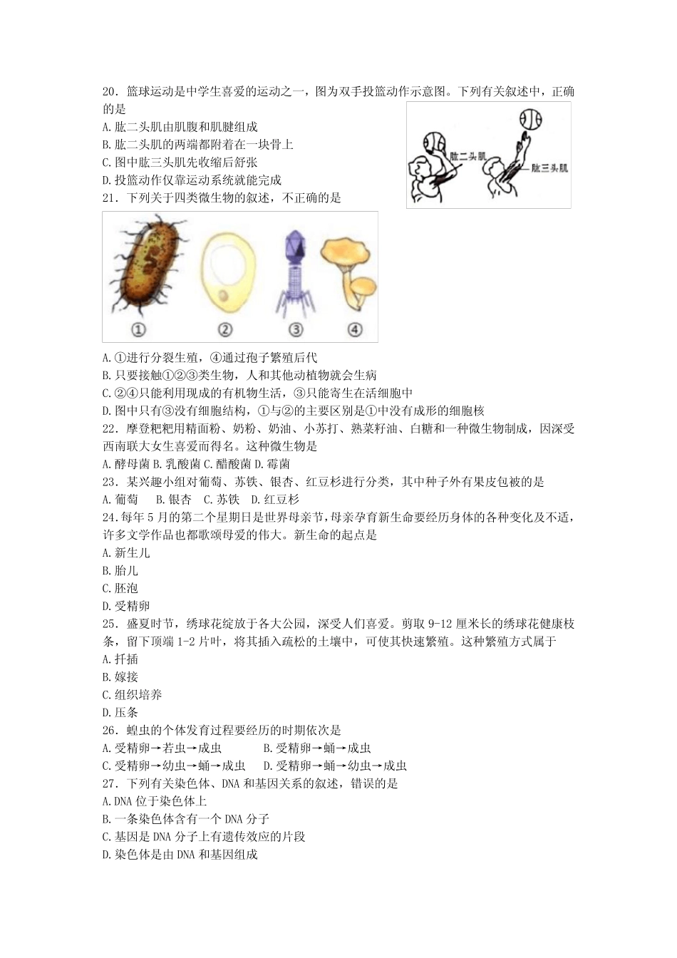 2023年云南省昭通市永善县三模生物试题(含答案) _第3页