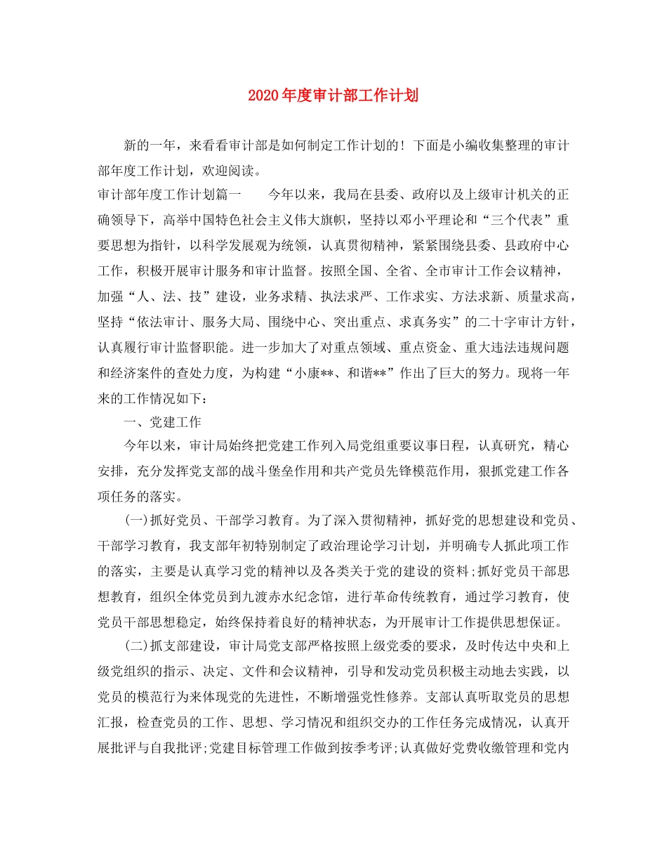2020年度审计部工作计划 _第1页