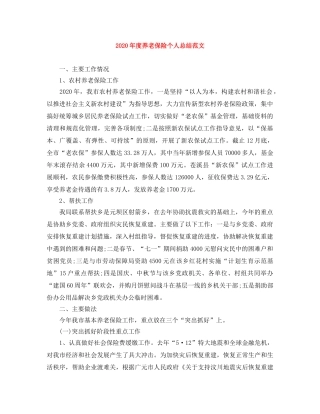 2020年度养老保险个人总结范文 