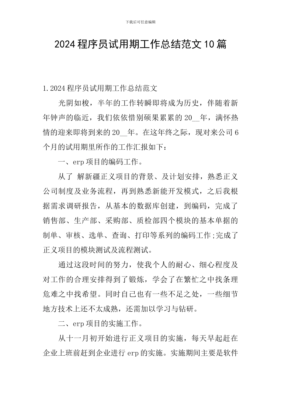 2024程序员试用期工作总结范文10篇_第1页