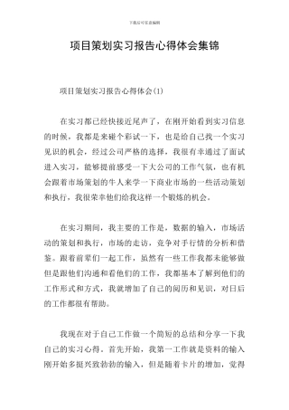 项目策划实习报告心得体会集锦