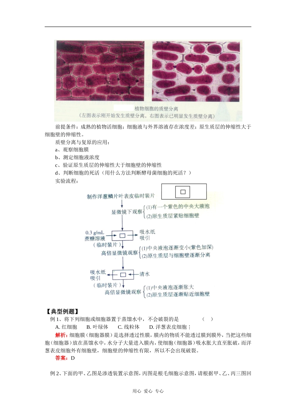 高三数学高考第一轮复习——物质的跨膜运输和非跨膜运输苏教版知识精讲_第2页
