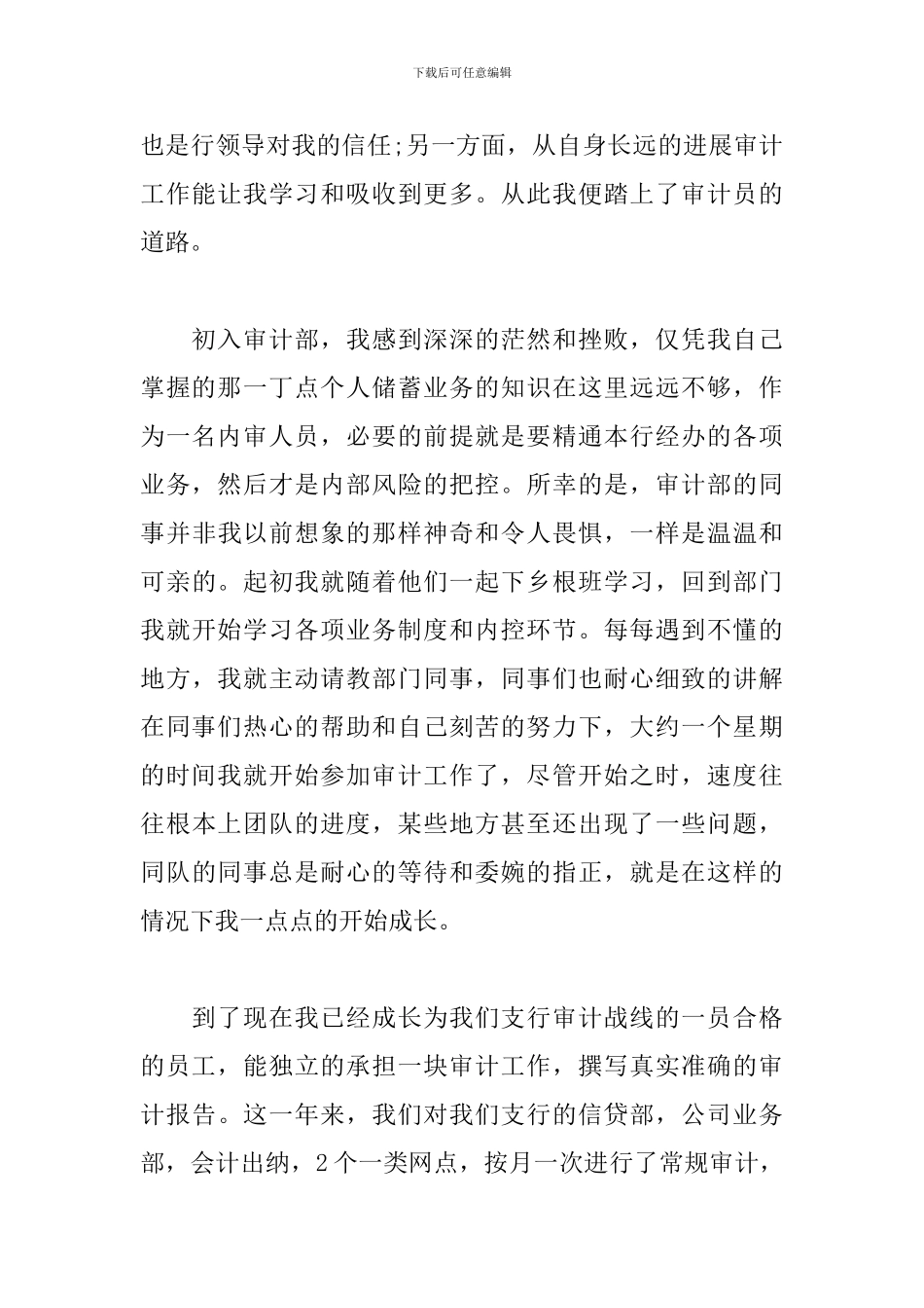 银行审计人员年终个人工作总结格式模板两篇_第2页
