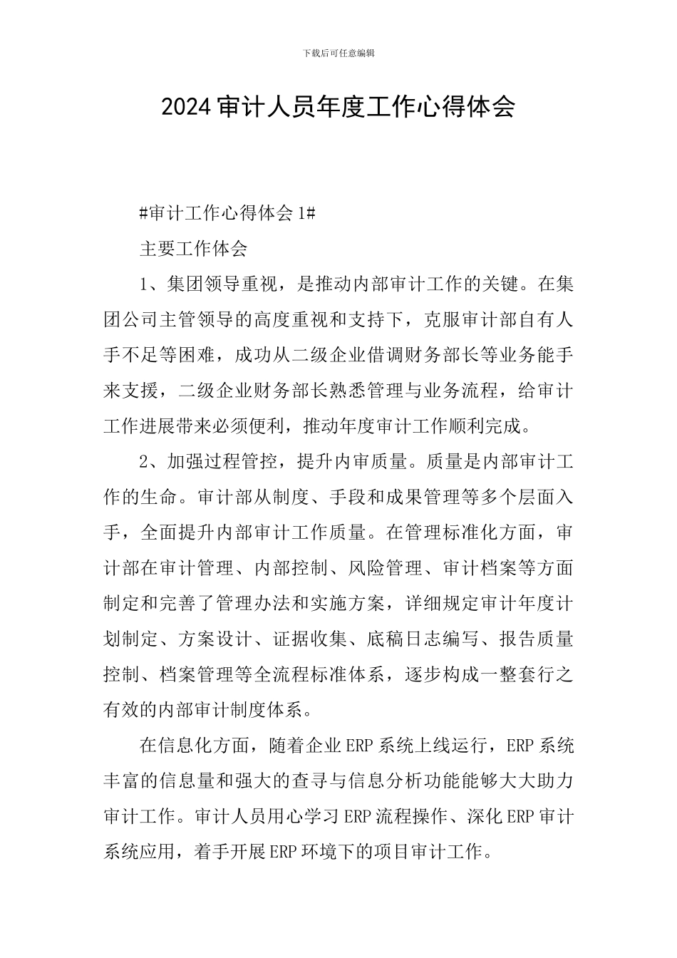 2024审计人员年度工作心得体会_第1页