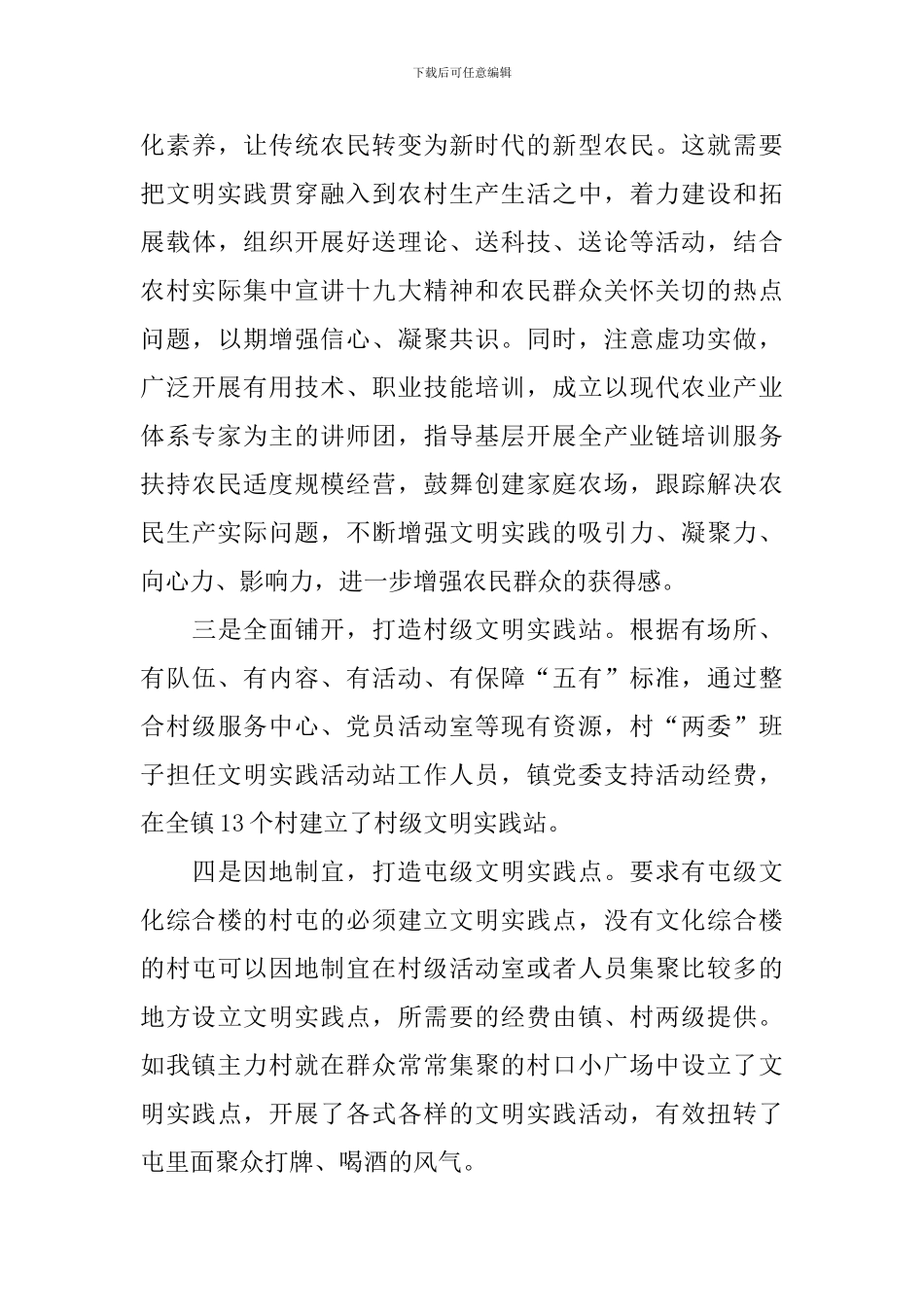 新时代文明实践工作报告_第3页