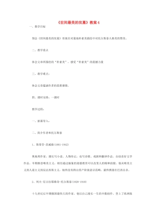 高中语文《世间最美的坟墓》教案4 沪教版第五册