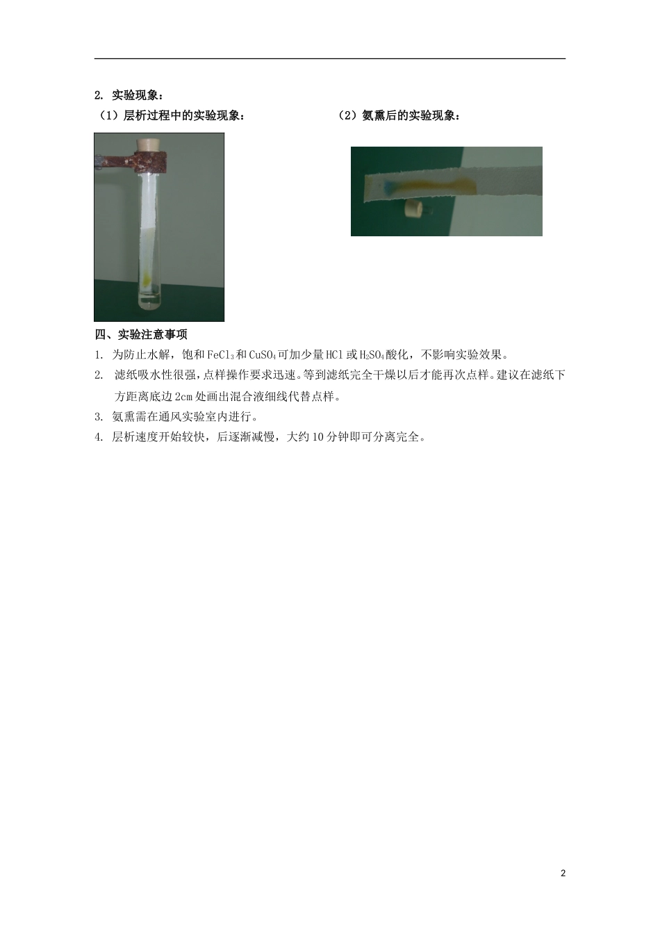 高中化学 1.2 用纸层析法分离铁离子和铜离子教案 苏教版选修6-苏教版高中选修6化学教案_第2页