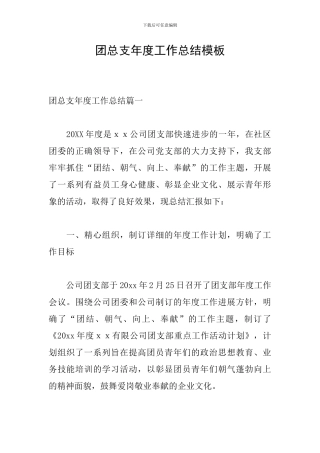 团总支年度工作总结模板