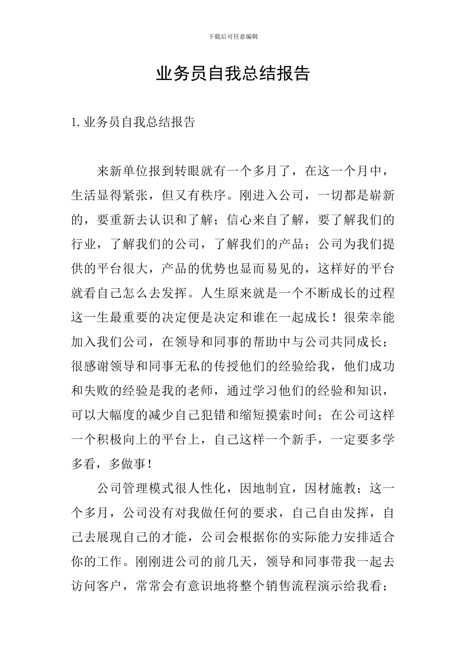 业务员自我总结报告_第1页