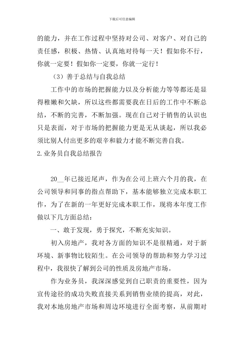 业务员自我总结报告_第3页