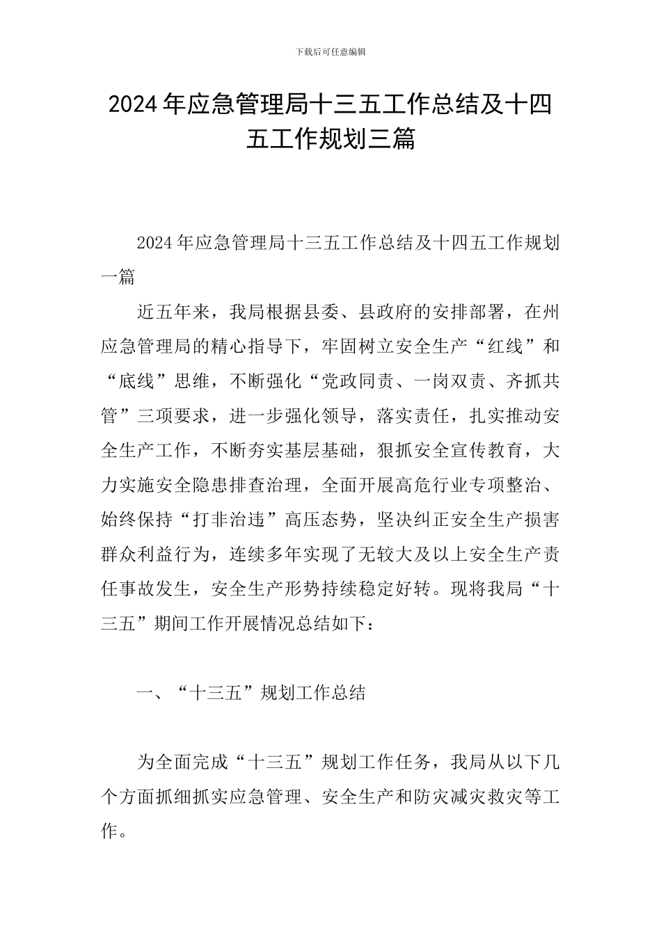 2024年应急管理局十三五工作总结及十四五工作规划三篇_第1页
