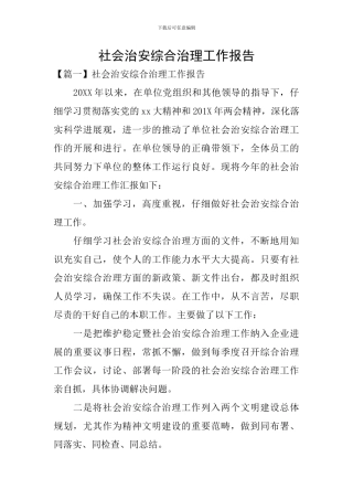 社会治安综合治理工作报告