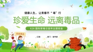 国际禁毒日宣传主题班会