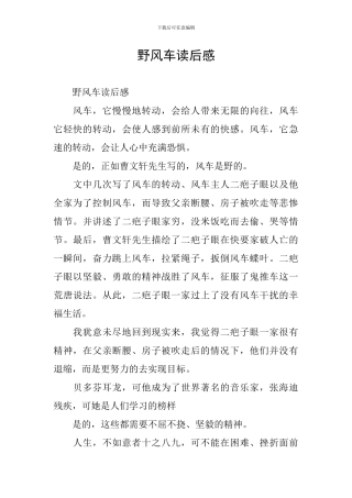 野风车读后感