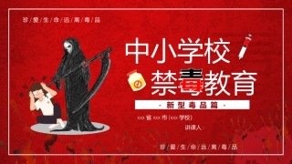 中小学禁毒教育