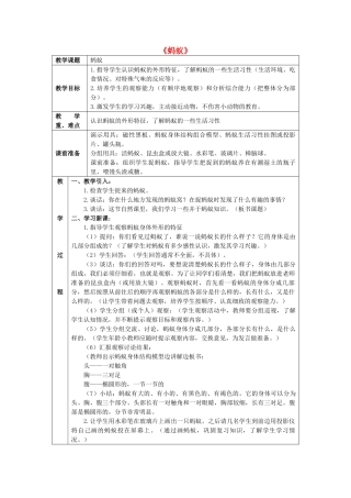 三年级科学下册《蚂蚁》教案 青岛版
