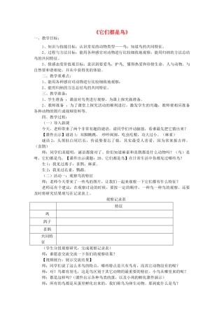 三年级科学下册《它们都是鸟》教案设计 青岛版