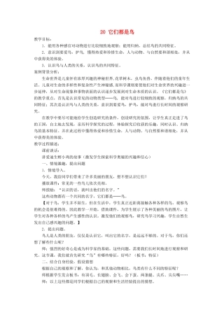 三年级科学下册《它们都是鸟》教案6 青岛版