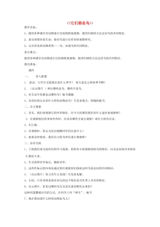 三年级科学下册《它们都是鸟》教案 青岛版