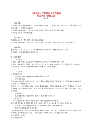 三年级科学下册 猫和兔1教案 青岛版