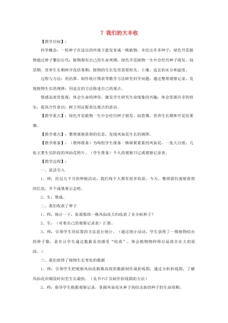 三年级科学下册 植物的生长变化 7我们的大丰收教案 教科版-教科版小学三年级下册自然科学教案