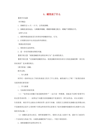 三年级科学下册 动物的生命周期 4 蛹变成了什么教案 教科版-教科版小学三年级下册自然科学教案