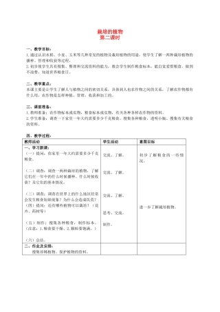 三年级科学上册 栽培的植物第二课时教案 首师大版