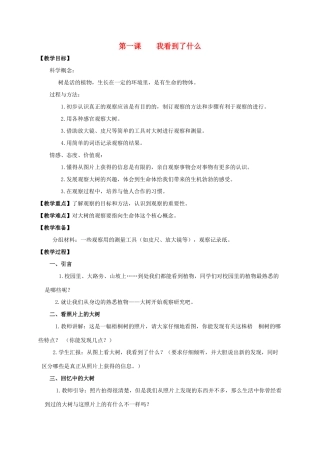 三年级科学上册 我看到了什么教案 教科版 