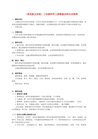 三年级科学上册 怎样认识物体教案2 青岛版