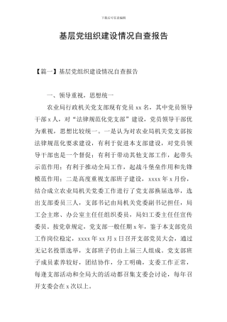 基层党组织建设情况自查报告
