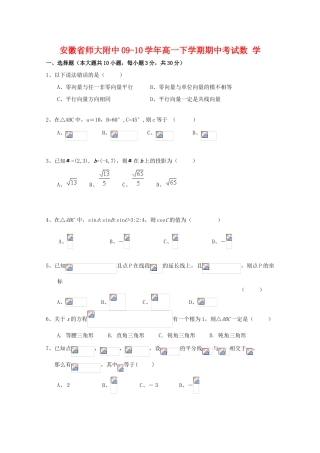 安徽省师大附中09-10学年高一数学下学期期中考试 新人教版【会员独享】