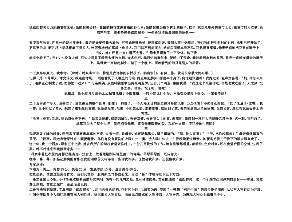 【精品】备考2011高考语文高效学习方案专题38 写作综合训练_第3页