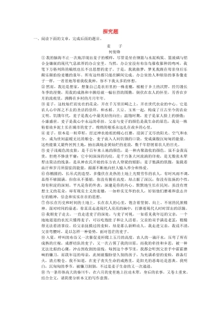 【步步高】2014高考语文大一轮复习讲义 探究题 新人教版