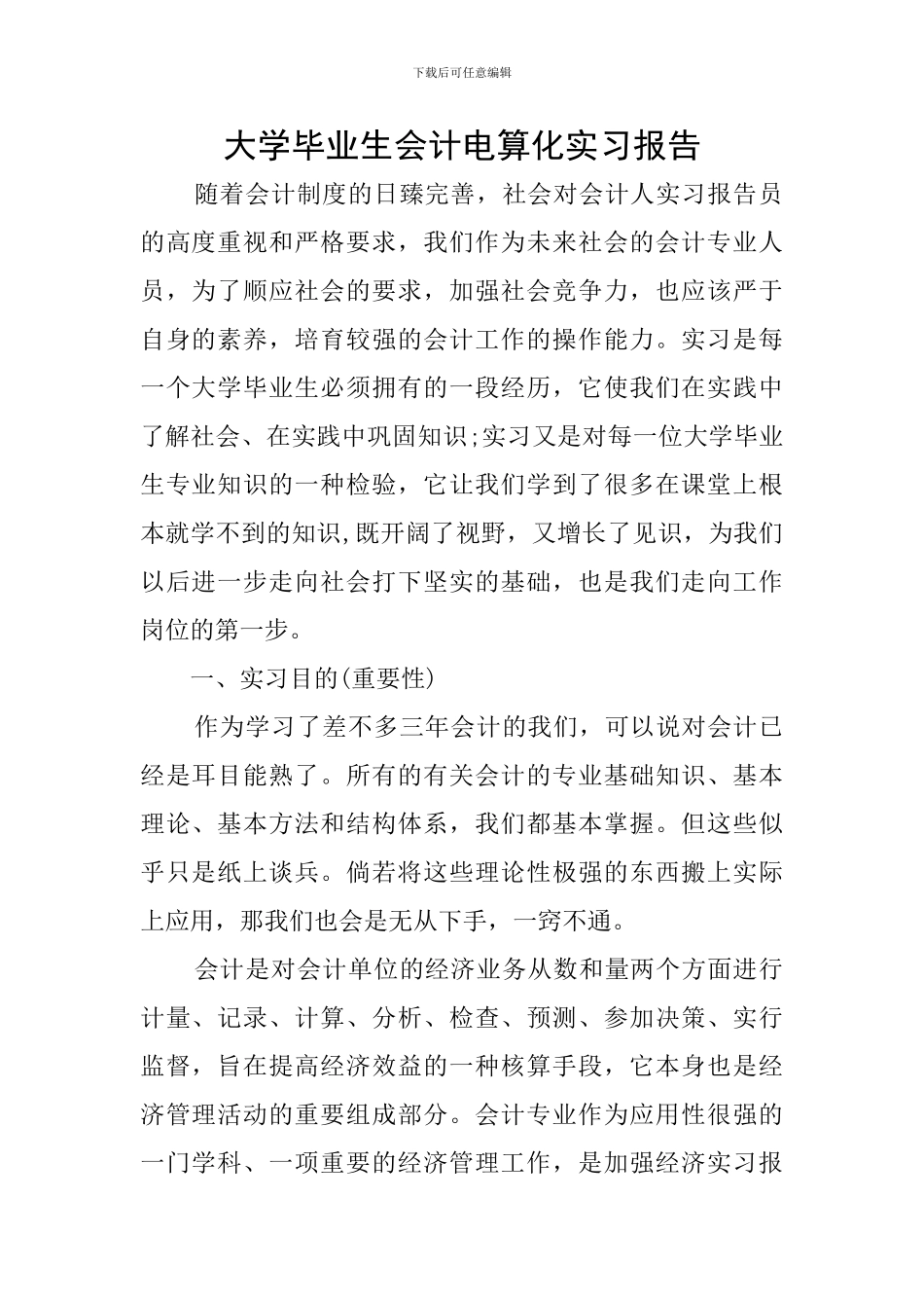 大学毕业生会计电算化实习报告_第1页