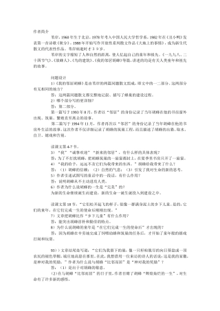 《我的邻居胡蜂》教案1