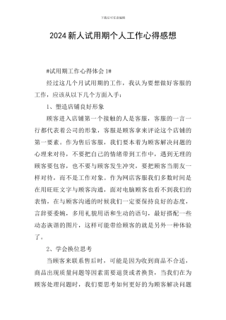 2024新人试用期个人工作心得感想