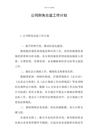 公司财务总监工作计划
