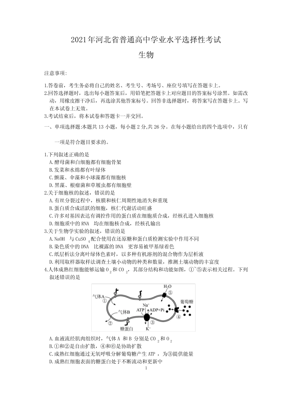 2021年河北省普通高中学业水平选择性考试生物试题 _第1页