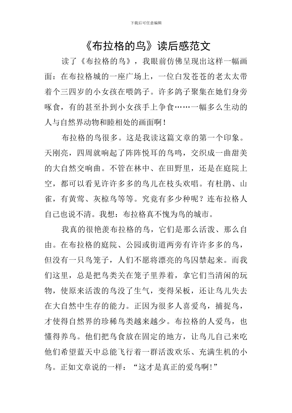《布拉格的鸟》读后感范文_第1页