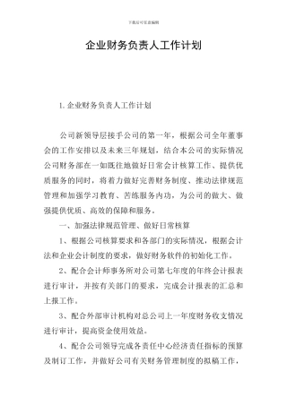 企业财务负责人工作计划
