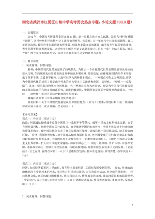 湖北省武汉市江夏区山坡中学高考历史 热点专题 小论文题（SOLO题）