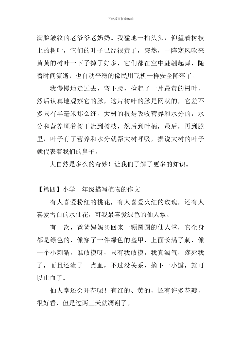 小学一年级描写植物的作文8篇_第3页