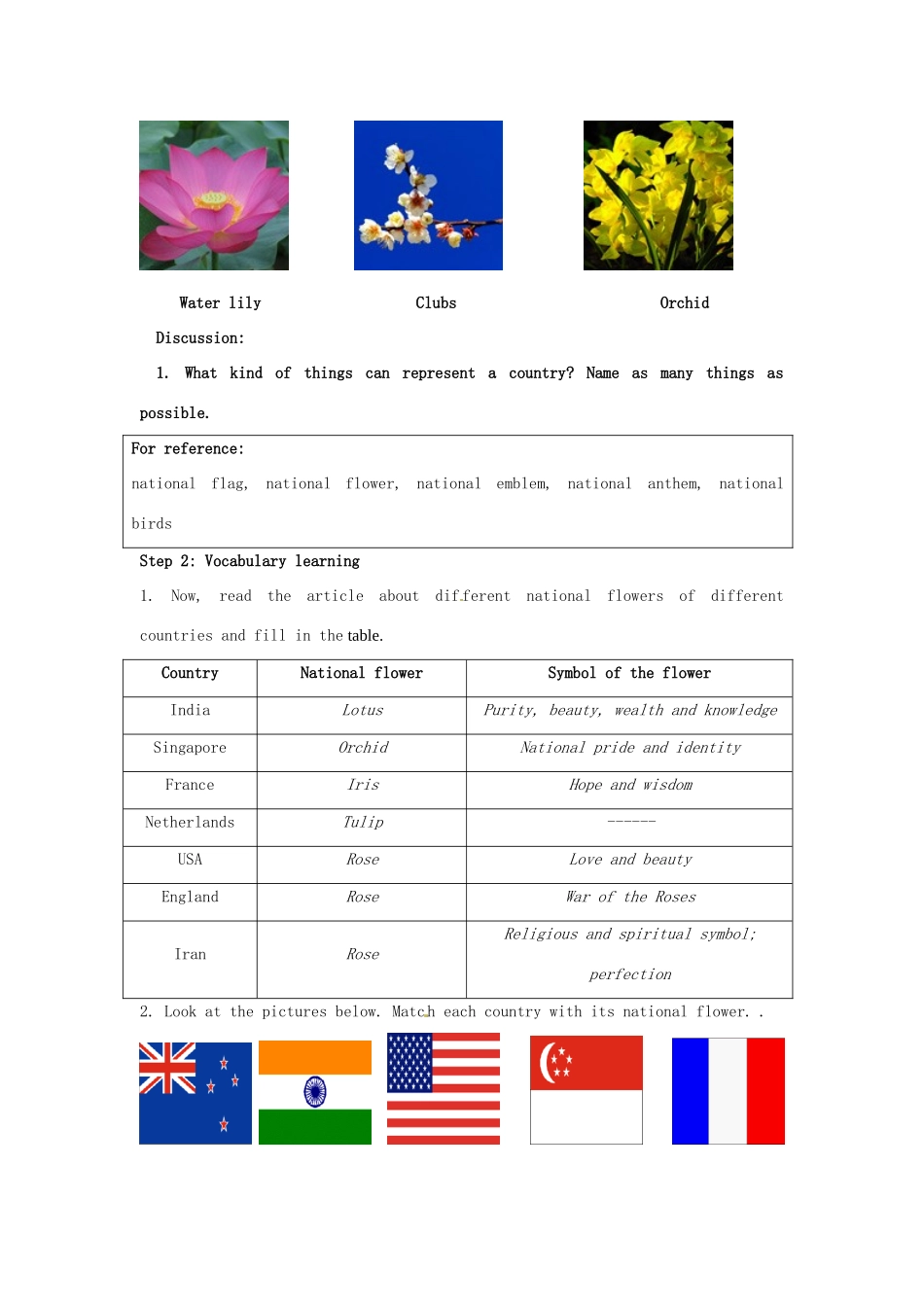 江苏省南京市金陵中学河西分校高中英语 unit3 Word power教学设计 新人教版选修9_第2页
