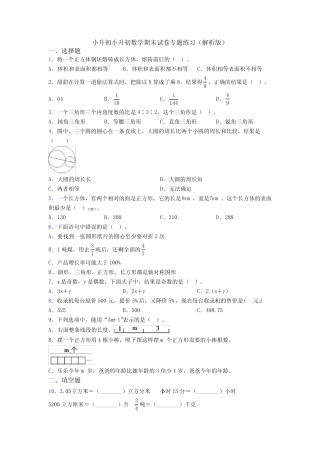 小升初小升初数学期末试卷专题练习(解析版) 
