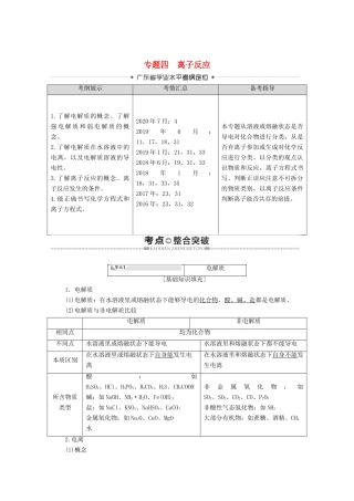广东省高考化学总复习 第2章 化学物质及其变化 专题4 离子反应教案-人教版高三全册化学教案