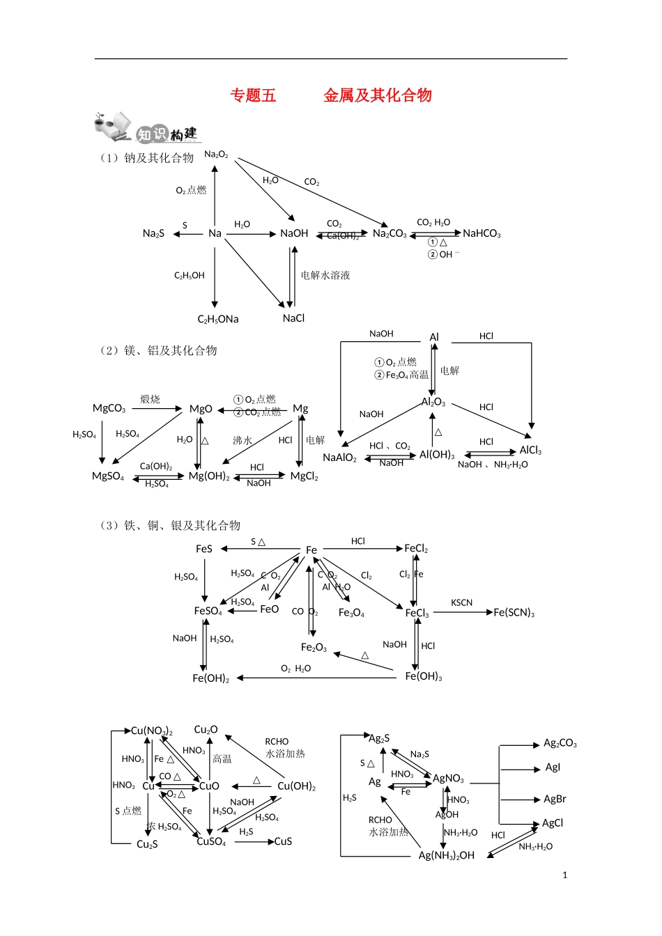 江苏省2013年高考化学二轮 专题五 金属及其化合物最新讲义_第1页