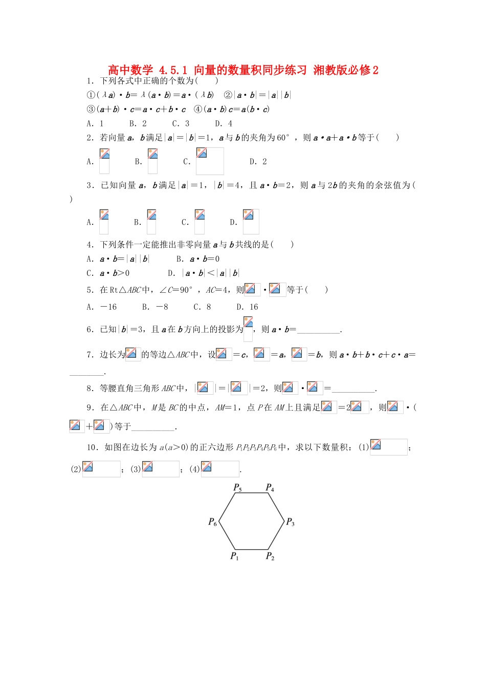 高中数学 4.5.1 向量的数量积同步练习 湘教版必修2-湘教版高一必修2数学试题_第1页