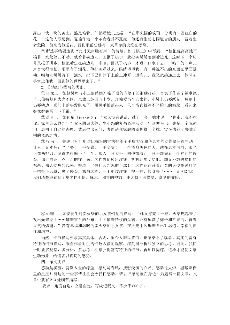 广东省天河区高考语文二轮复习 记叙文的细节描写教学设计-人教版高三全册语文教案_第2页